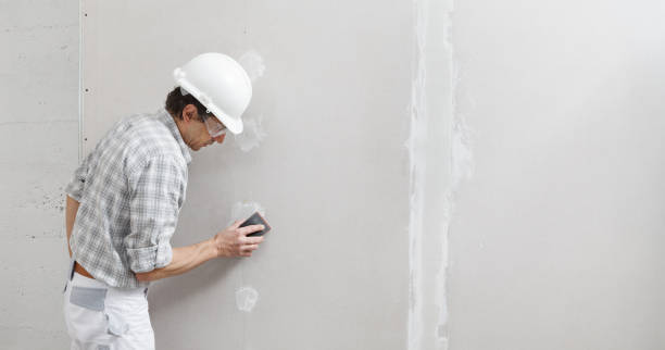 Best Fire-Damaged Drywall Repair  in West Athens, CA